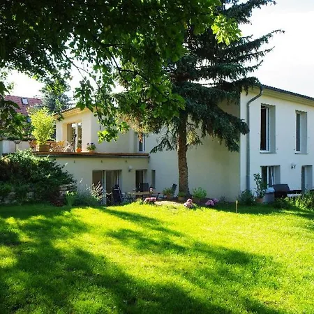 Gruene Oase Mit Eigener Terrasse Zwischen Altstadt Und Hafen #2 Daire *