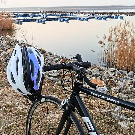 Gruene Oase Mit Eigener Terrasse Zwischen Altstadt Und Hafen #2