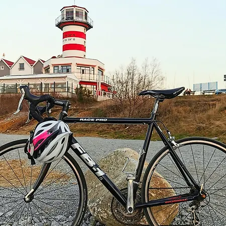 Lägenhet Gruene Oase Mit Eigener Terrasse Zwischen Altstadt Und Hafen #2 *