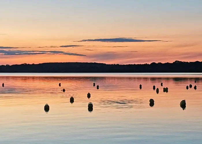 Gruene Oase Mit Eigener Terrasse Zwischen Altstadt Und Hafen #2 Lägenhet *